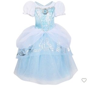 Cinderella Dress